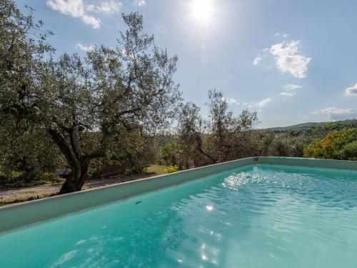 een overloopzwembad met een olijfboom op de achtergrond bij Holiday Home Fonte al Tesoro by Interhome in Roccatederighi