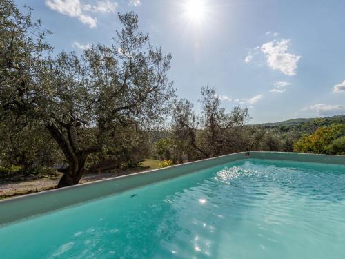 una piscina infinita con un olivo en el fondo en Holiday Home Fonte al Tesoro by Interhome, en Roccatederighi