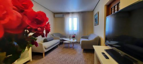 a living room with a couch and a tv at Ambassador Apartments in Petrovac na Moru