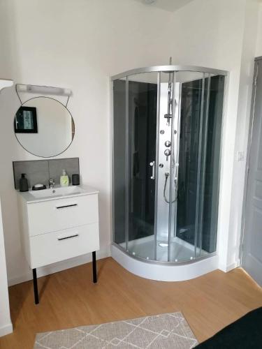 a bathroom with a shower with a sink and a mirror at Charmant F2 in Noyant