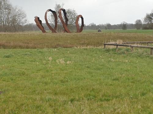 a grassy field with a sculpture of rings in a field at Ruunerwoldse Stekkie met eigen badkamer in Ruinerwold