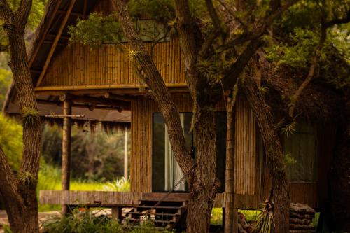 a tree house in the middle of some trees at Hotel Fundo Achamaqui in Chachapoyas