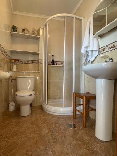 a bathroom with a shower and a toilet and a sink at Fairview in Sabardes