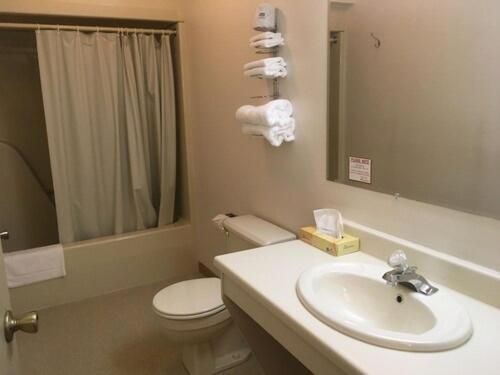uma casa de banho com um lavatório, um WC e um espelho. em Value Host Marquette em Marquette