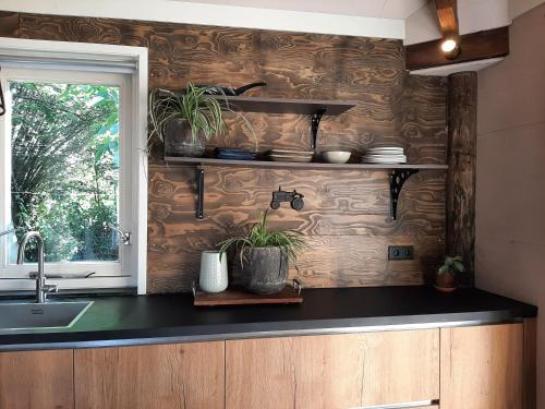 Kuchyň nebo kuchyňský kout v ubytování Appartement Voorhuis en chalet Klein Waterland