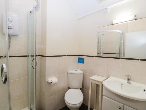 ein Bad mit einem WC, einem Waschbecken und einer Dusche in der Unterkunft Swallow Cottage in Shaftesbury