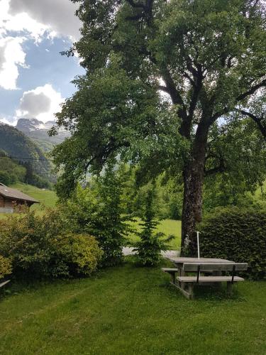 une table de pique-nique assise dans l'herbe sous un arbre dans l'établissement Chalet d'en Ô, à Les Clefs