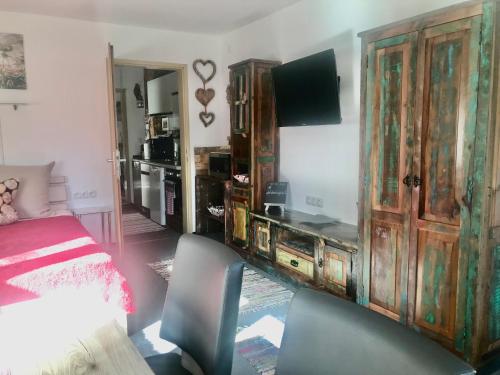 TV a/nebo společenská místnost v ubytování Apartment Gletscherbergblick