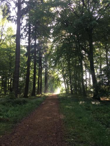Paesaggio naturale nelle vicinanze dell'appartamento