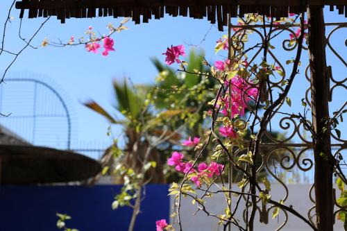 um buquê de flores cor-de-rosa pendurado em uma cerca em Riad 46 em Marraquexe