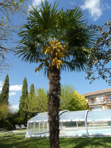 Photo de la galerie de l'établissement Iaorana, à Claveyson