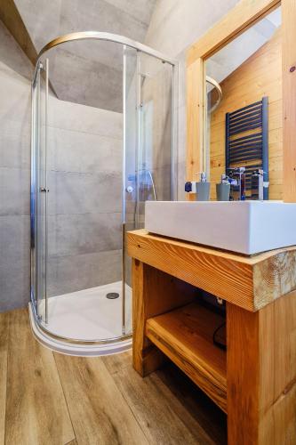 a bathroom with a sink and a shower at Dziadkowka in Gliczarów