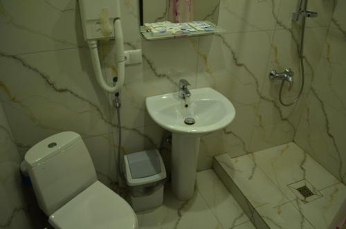 a bathroom with a sink and a toilet at Hotel Albatros in Irkutsk