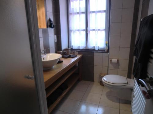 een badkamer met een wastafel en een toilet bij Gite Gewurztraminer in Colmar