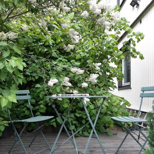 Gambar di galeri bagi Villa Kungssten di Gothenburg