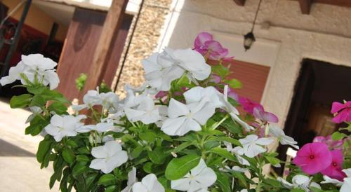 a pot of white and pink flowers in front of a building at Baia dei turchi locazione turistica in Realmonte