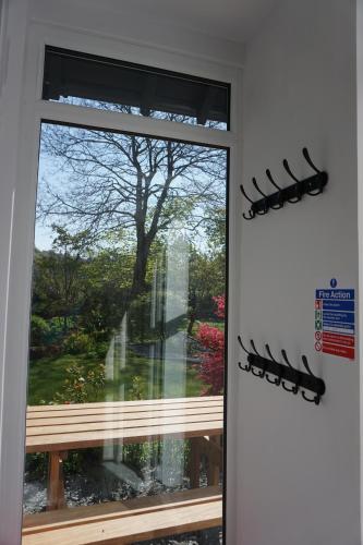 a window with a view of a tree at Lake View Country House in Grasmere