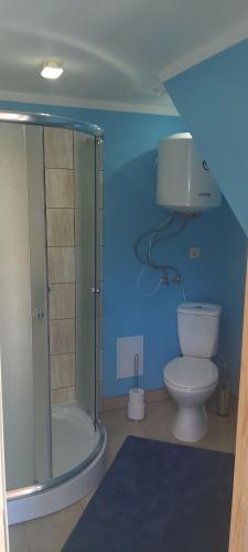 a bathroom with a glass shower and a toilet at ŠMITI in (( Čūskumuiža ))