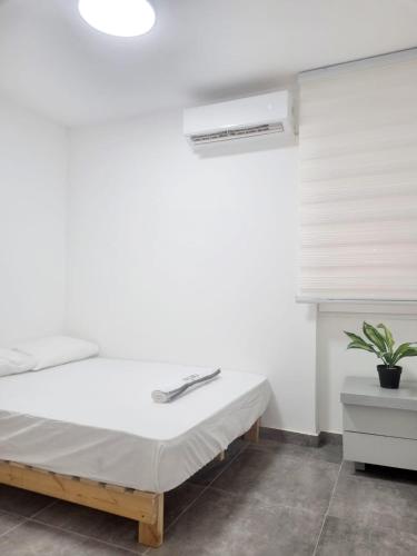 a white bedroom with a bed and a plant at דירה מקסימה in Eilat