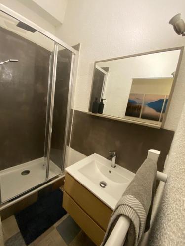 a bathroom with a sink and a shower and a mirror at En cœur de ville in Chambéry