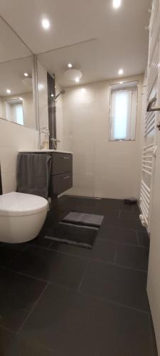 ein Badezimmer mit Toilette, Waschbecken und Spiegel in der Unterkunft FeWo Hafner "Zuhause mit Ausblick" in Schnaittach