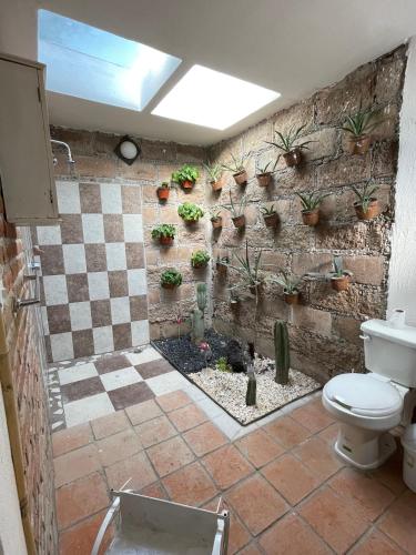 a bathroom with a wall with potted plants on it at Jardín Quinta Las Fuentes Cabañas, Valsequillo. PUEBLA in Puebla