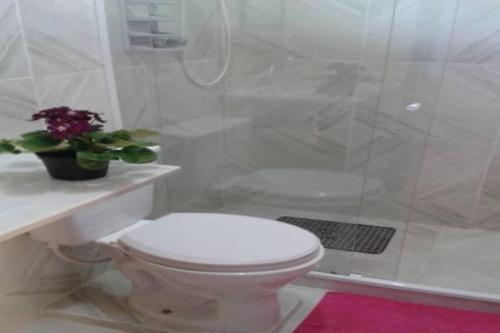un bagno bianco con wc e doccia di Maison Aires Malcher a Maricá
