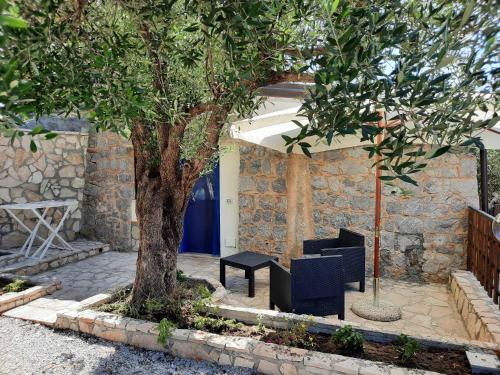 卡梅羅塔濱海的住宿－Villetta del Poggio，树旁的长凳和桌子