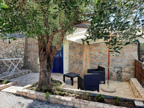 Κήπος έξω από το Villetta del Poggio