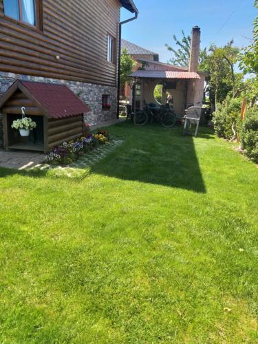 a yard with a house and a dog house at Casa Altius Felix in Baile Felix