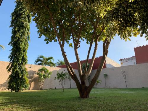a tree in a yard next to a building at Casa Completa para Familias o Grupos in Santa Cruz de la Sierra