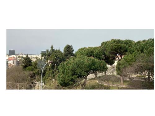 Luxury apartment near Fonte Luminosa