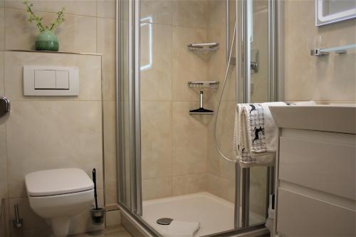 a bathroom with a shower and a toilet and a sink at Ferienwohnung Bergflora in Oberstdorf