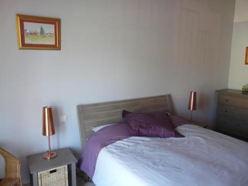 een slaapkamer met een bed met paarse lakens en 2 lampen bij B&B Les Vents d'Anges in Caromb