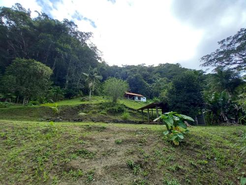 a field with a house on a hill with trees at Chalé Floresta Toca da Serra in Iporanga