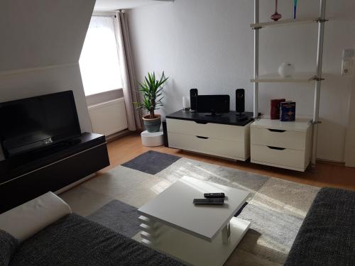 a living room with a couch and a tv at Apartment am Südpark Erfurt in Erfurt