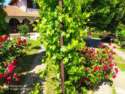 a tree in a garden with pink flowers at Dečiji vinogradi Belgrade, Sopot, Kosmaj in Sopot