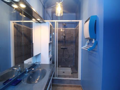 uma casa de banho com um lavatório e um chuveiro em Appartement Port-Vendres, 3 pièces, 4 personnes - FR-1-309-325 em Port-Vendres
