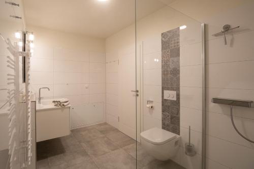 a bathroom with a shower and a toilet and a sink at Weiße Düne Ferienwohnung *Weiße Düne 6* in Wittdün