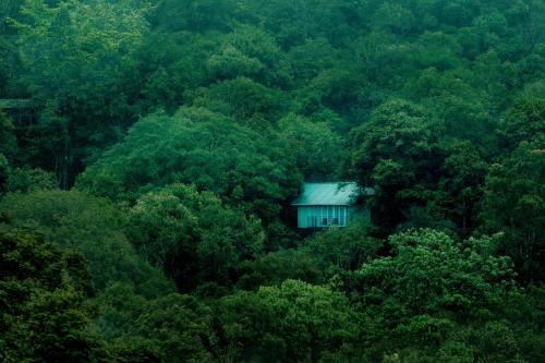Gallery image of Wayanad Wild - Rainforest Lodge by CGH Earth in Vythiri