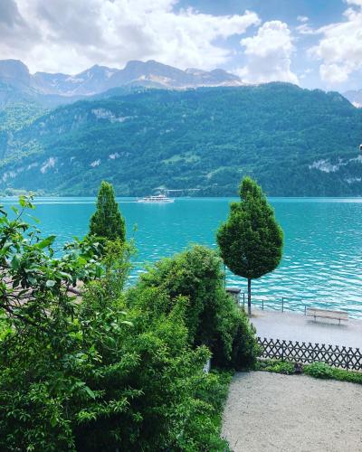 Blick auf einen See mit einer Bank und Bäumen in der Unterkunft Hotel WALZ in Brienz