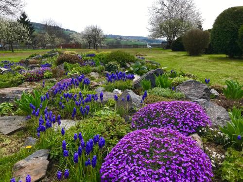 a garden with purple and purple flowers and rocks at Venkovská usedlost Horšice in Horšice