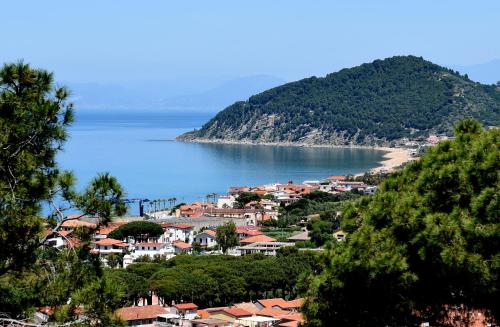 a town on a hill next to a body of water at Hotel Garden Riviera in Santa Maria di Castellabate