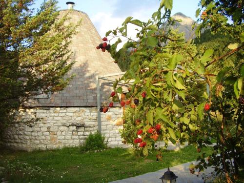 Giardino di Theasis-Igloo
