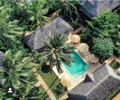 an overhead view of a swimming pool with palm trees at Palm Garden ECO Boutique Hotel No Kids under 12 in Watamu