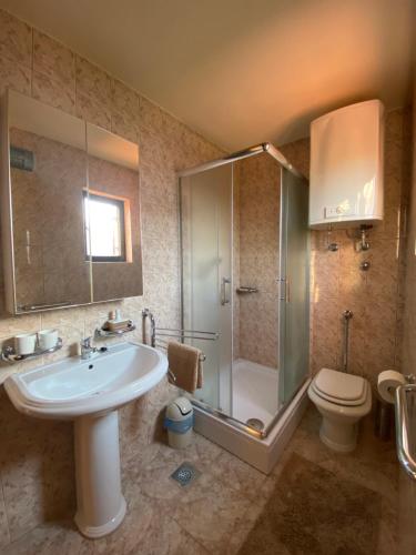 a bathroom with a shower and a sink and a toilet at Holiday Home Andreja in Malinska