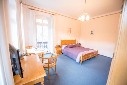 a bedroom with a bed and a table with a television at Bilz-Pension in Radebeul
