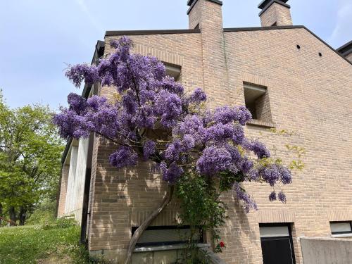 Κήπος έξω από το Il paradiso del relax house in the Langhe