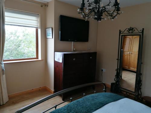 a bedroom with a tv and a mirror and a bed at Carlingford Mountain and Sea Views in Carlingford