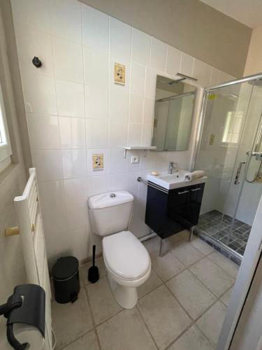 La salle de bains est pourvue de toilettes, d'un lavabo et d'une douche. dans l'établissement Gite les Bleuets, à Saze